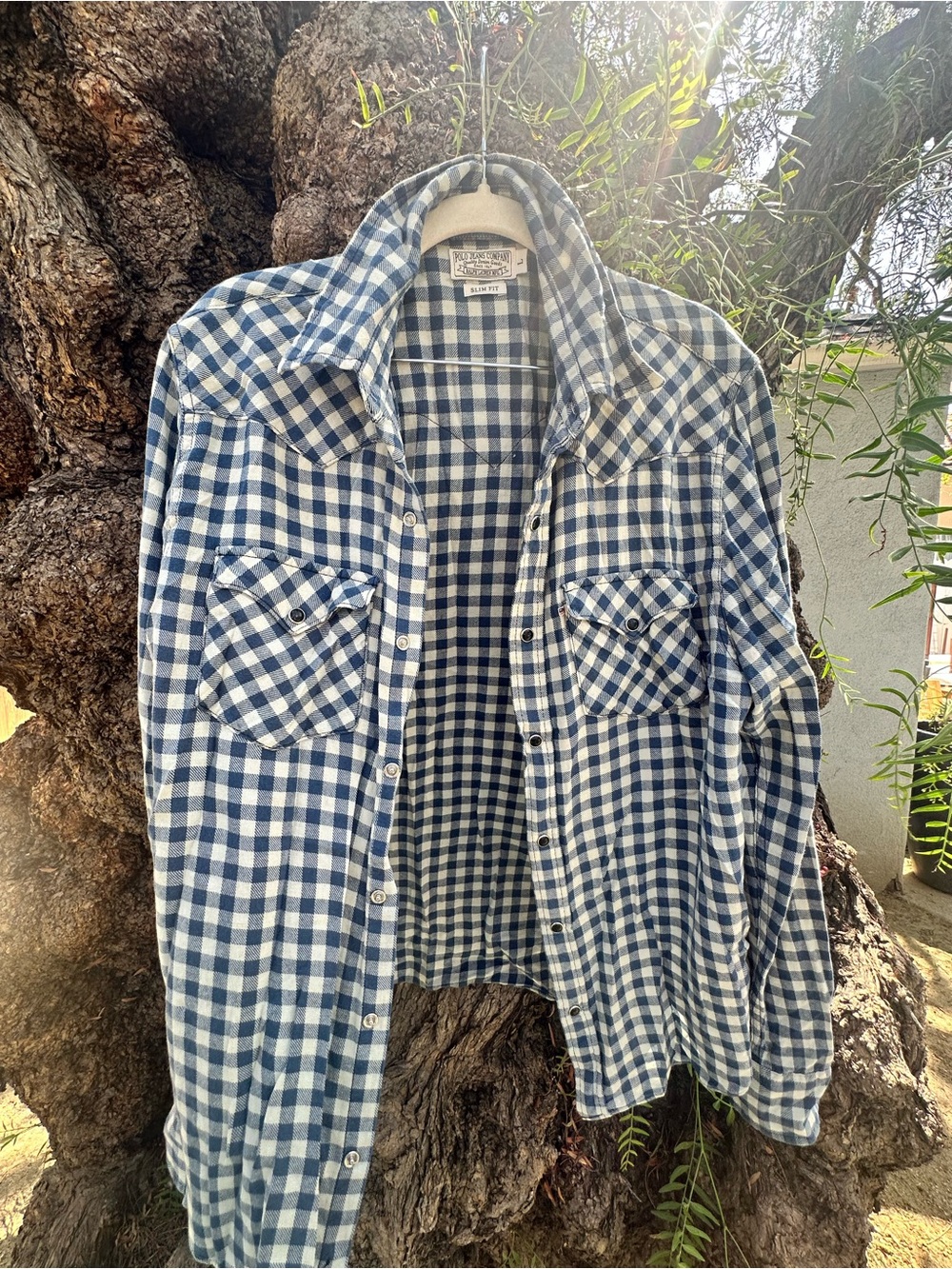 Polo by Ralph Lauren Blue and White Check Button-Down Shirt
